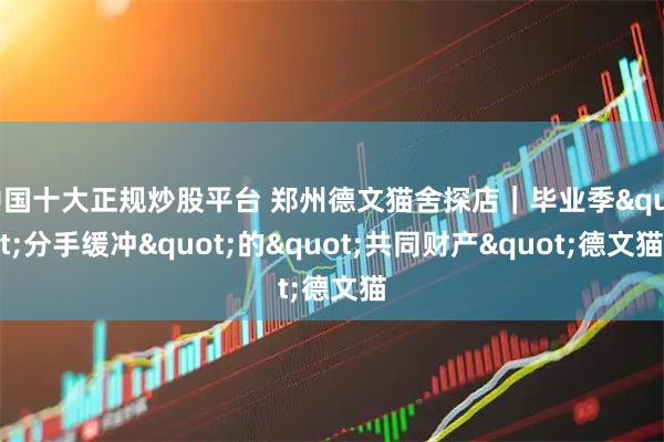 中国十大正规炒股平台 郑州德文猫舍探店｜毕业季"分手缓冲"的"共同财产"德文猫