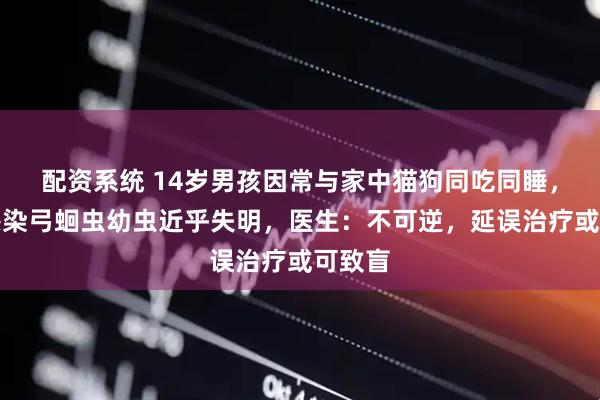 配资系统 14岁男孩因常与家中猫狗同吃同睡，双眼感染弓蛔虫幼虫近乎失明，医生：不可逆，延误治疗或可致盲