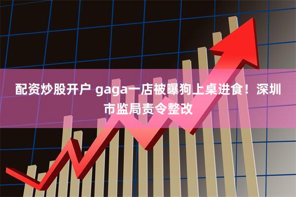 配资炒股开户 gaga一店被曝狗上桌进食！深圳市监局责令整改